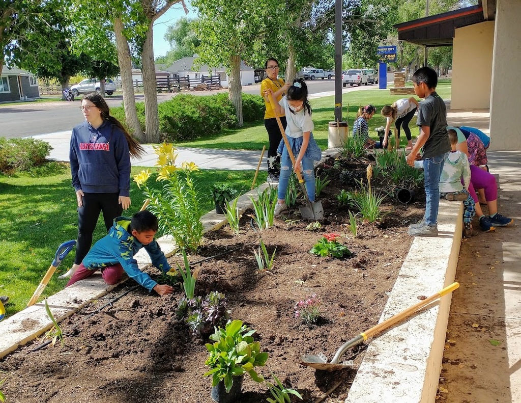 Students and staff planting flowers